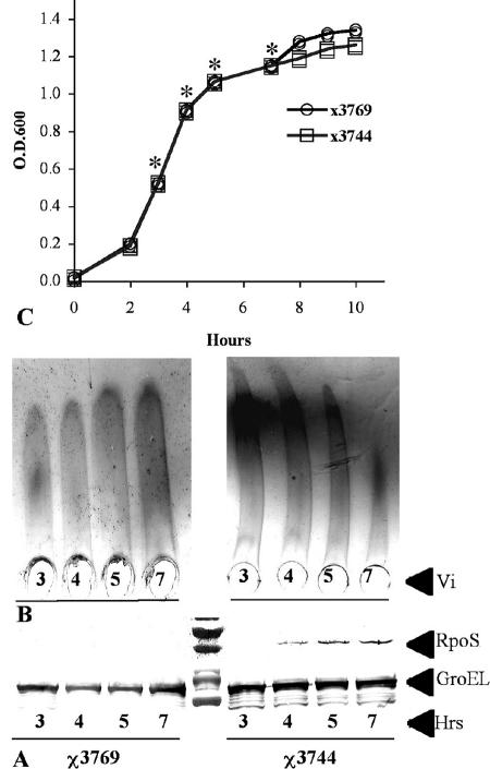 FIG. 6.