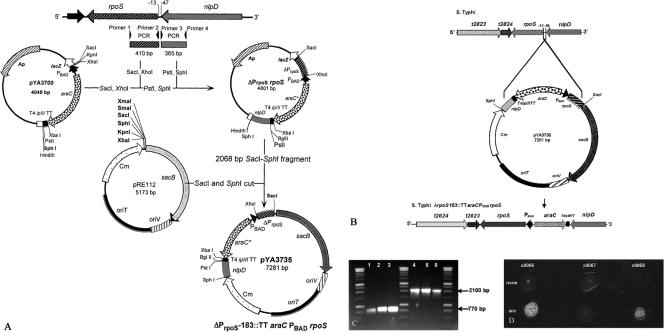 FIG. 2.