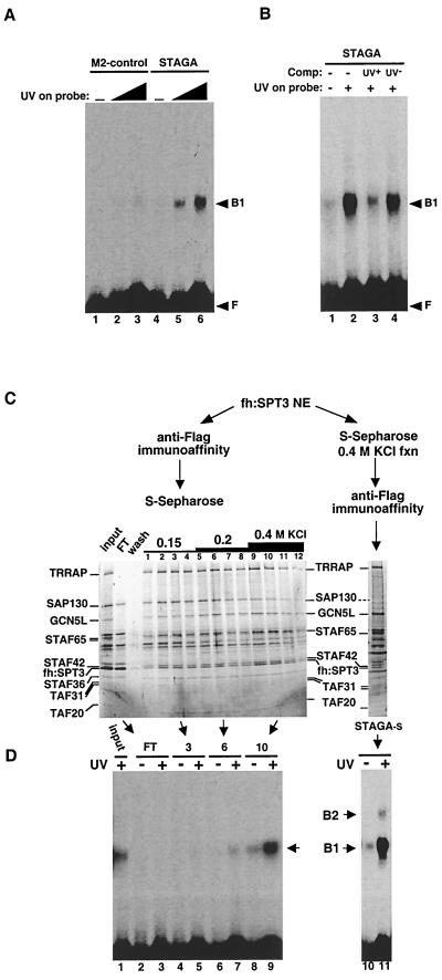 FIG. 6