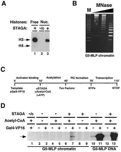 FIG. 4