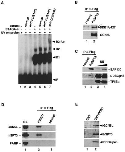 FIG. 7