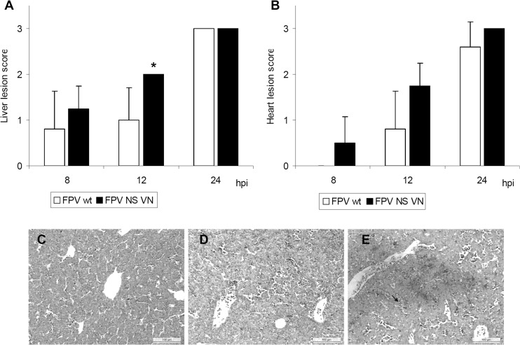 Fig 4