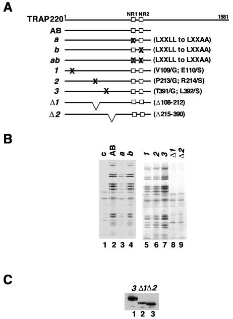 FIG. 5.