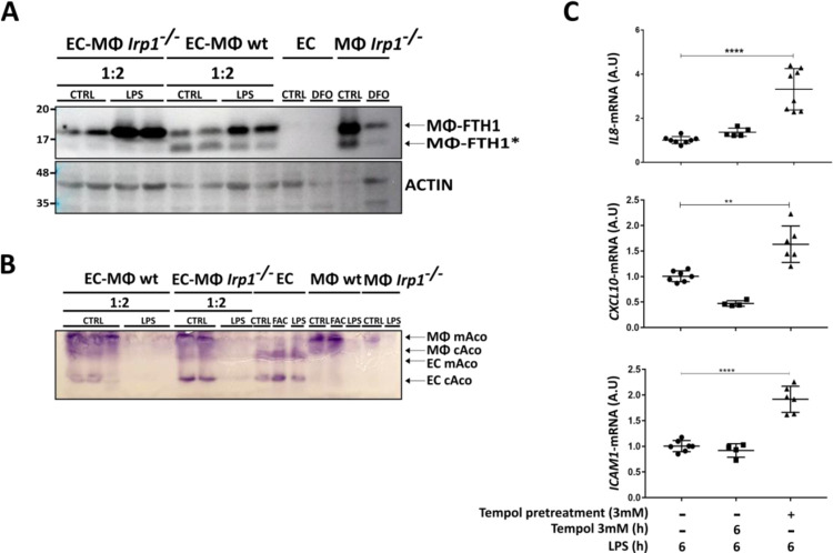 Figure 4: