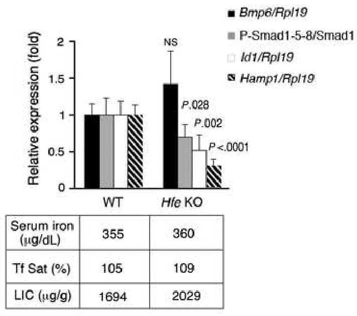 Fig.3