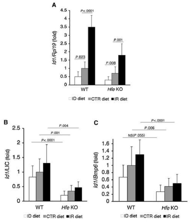 Fig.6