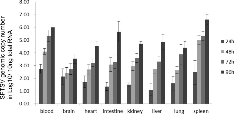 FIG 1