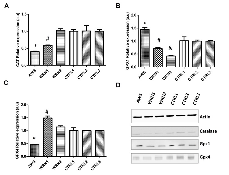 Figure 4