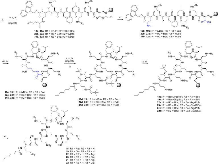 Scheme 2