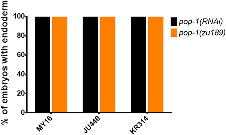 Figure 4—figure supplement 2.