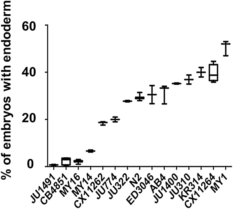 Figure 2—figure supplement 1.