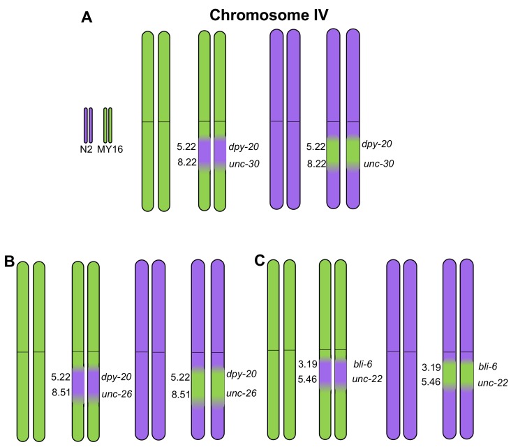 Figure 7—figure supplement 2.