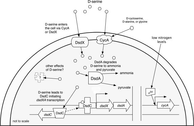 FIG. 5.