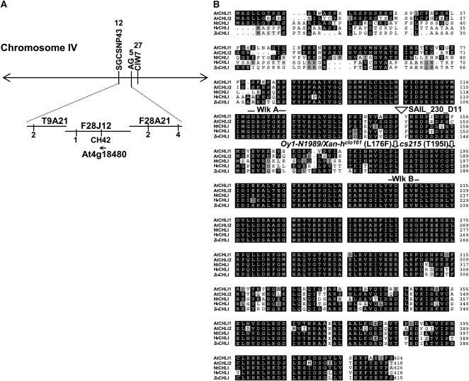 Figure 2.