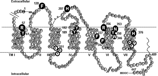 Fig. 2