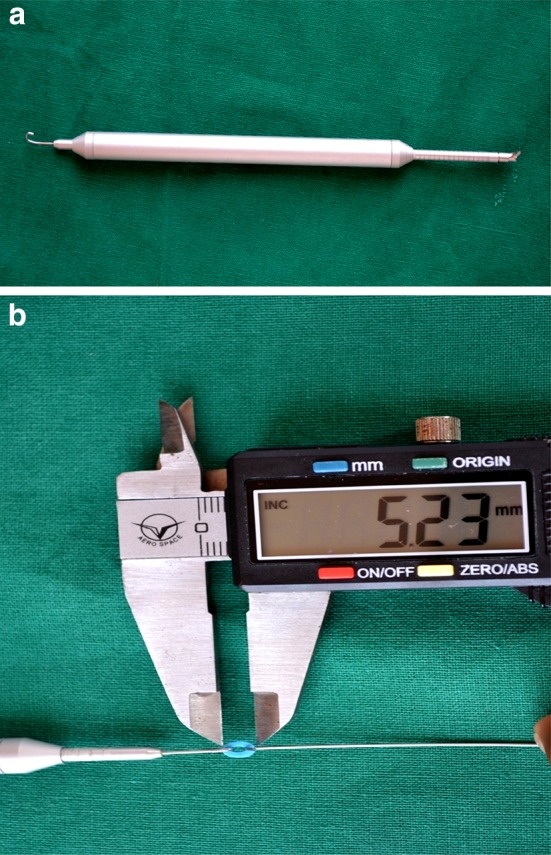 Fig. 7