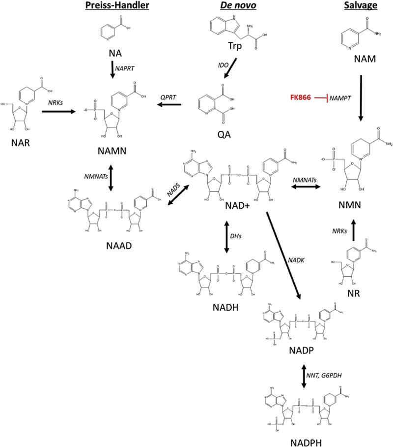 Scheme 1.