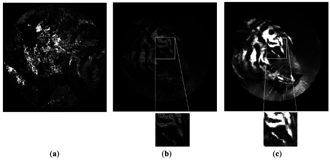 Figure 12.