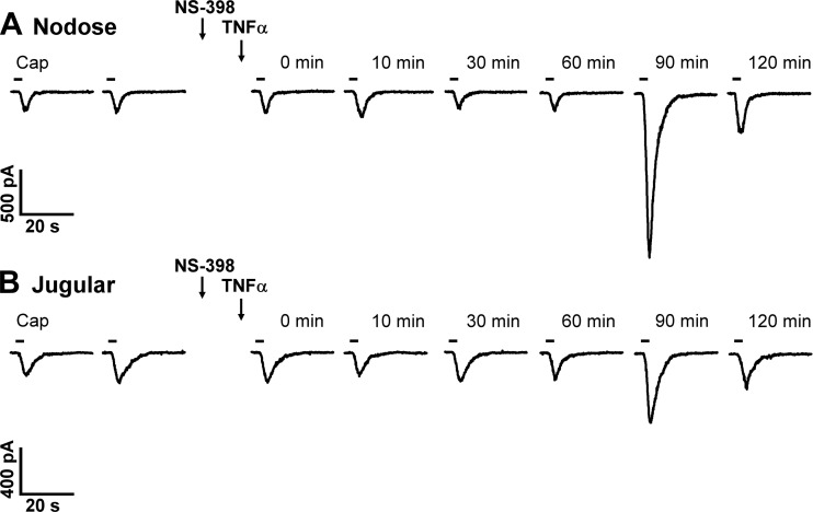 Fig. 6.