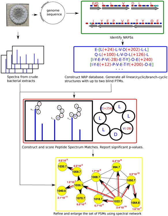 Figure 13