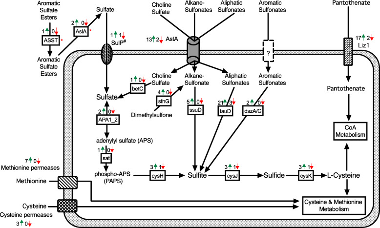 Fig. 7