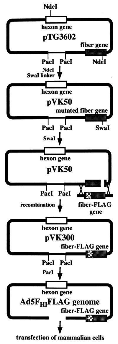 FIG. 5