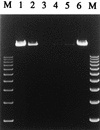 FIG. 7