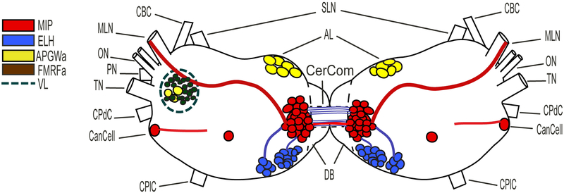 Figure 3.