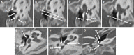 Figure 13.