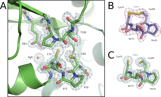 FIGURE 3.