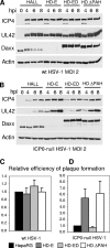 FIG. 10.