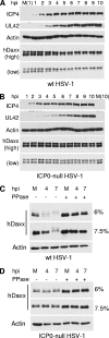 FIG. 13.