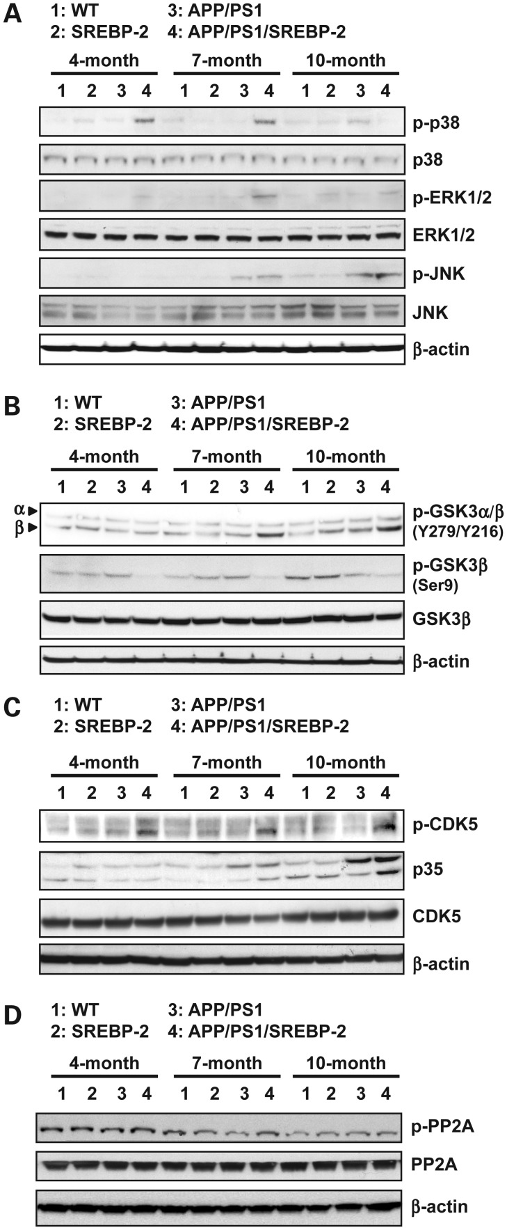 Figure 6.