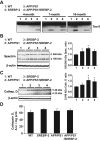 Figure 7.