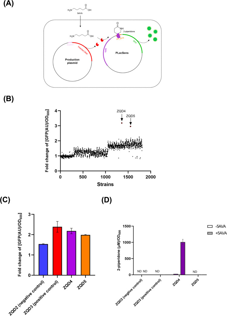 Fig. 3