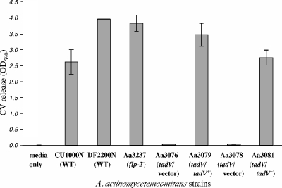 FIG. 4.