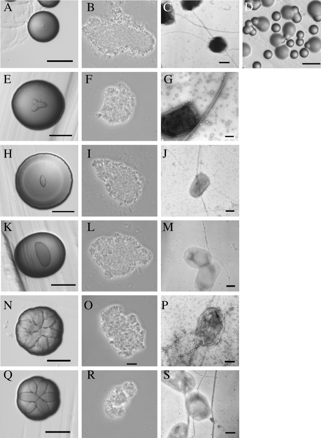 FIG. 7.