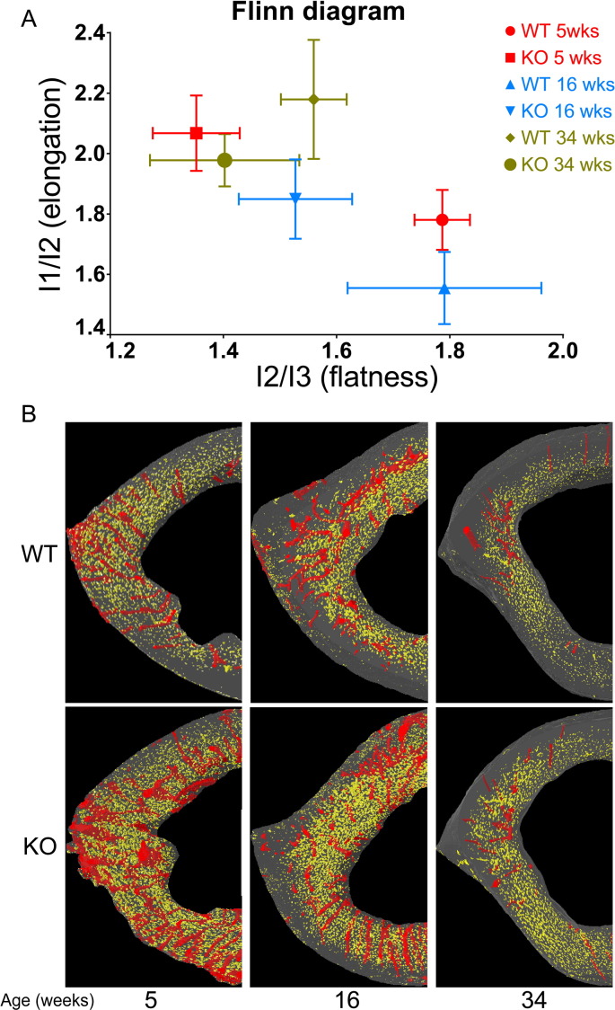 Fig. 8