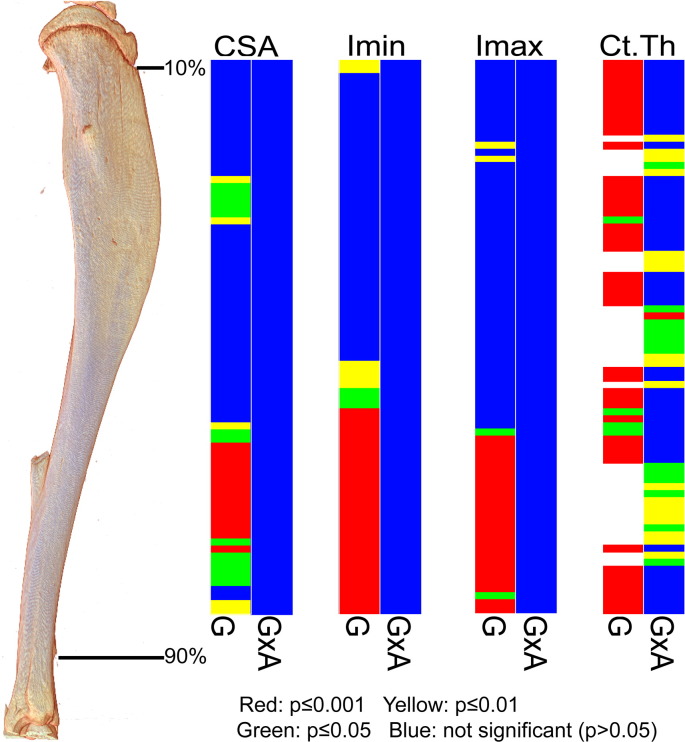 Fig. 7