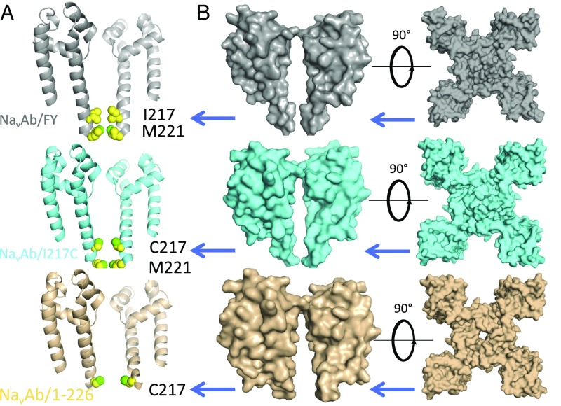 Fig. 6.