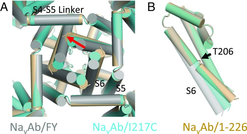 Fig. 7.