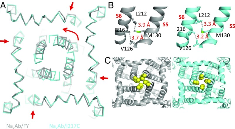 Fig. 3.