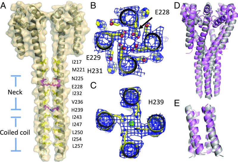 Fig. 4.