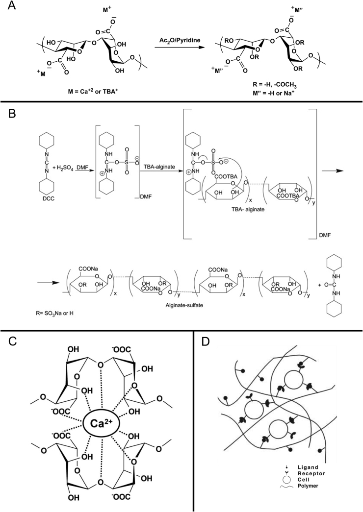 Figure 5