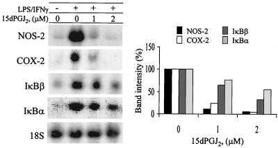 FIG. 5