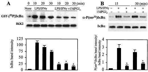 FIG. 6