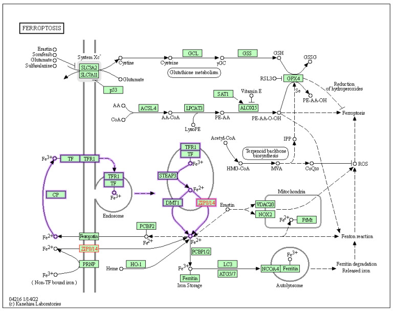 Figure 5