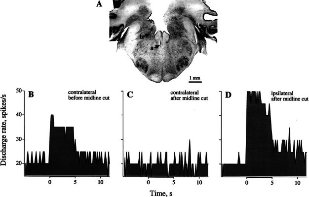 Figure 11