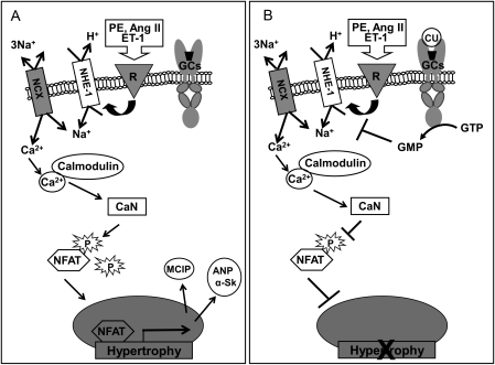 Figure 6