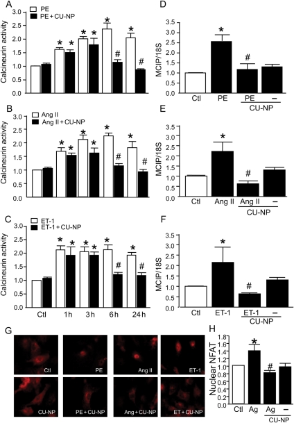 Figure 5